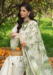 Sardinia Lawn Embroidered 3 piece Dres