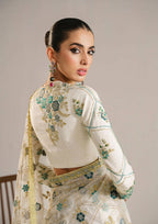 Saree for women clothing (UNSTITCHED) by Kapra Collection - Kapra Collection