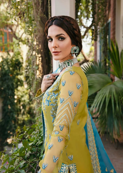 Organza for women clothing (UNSTITCHED) by Kapra Collection - Kapra Collection