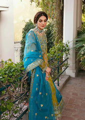 Organza for women clothing (UNSTITCHED) by Kapra Collection - Kapra Collection