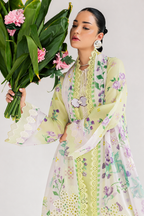 Haleema – Nureh Inspired Pistachio Lawn Suit