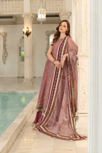 Rida – Noor By Saadia Inspired Khaadi Net Suit