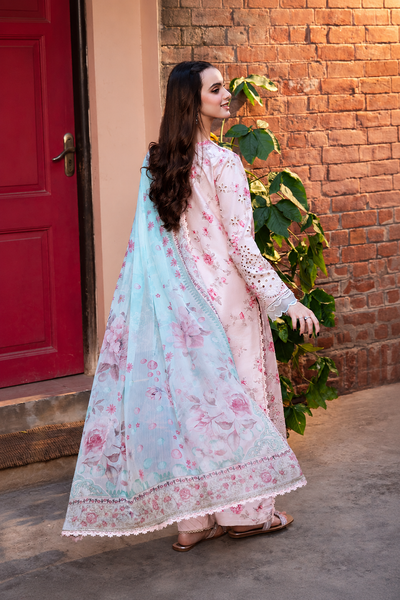 Nafeesa – Blush Chikankari Embroidered Lawn Suit