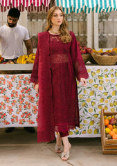 Mahnoor  Embroidered Lawn Dres