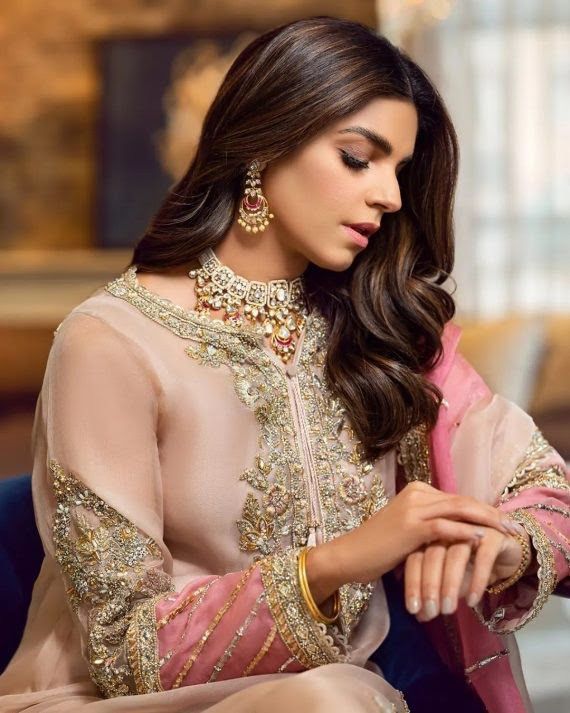 Sareen organza Embroidered unstitched Dress