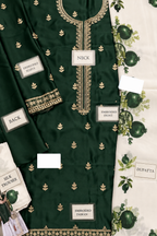 Rameesha – Murk Inspired Emerald Shamoze Silk Suit
