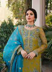 Organza for women clothing (UNSTITCHED) by Kapra Collection - Kapra Collection
