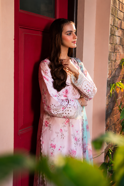 Nafeesa – Blush Chikankari Embroidered Lawn Suit
