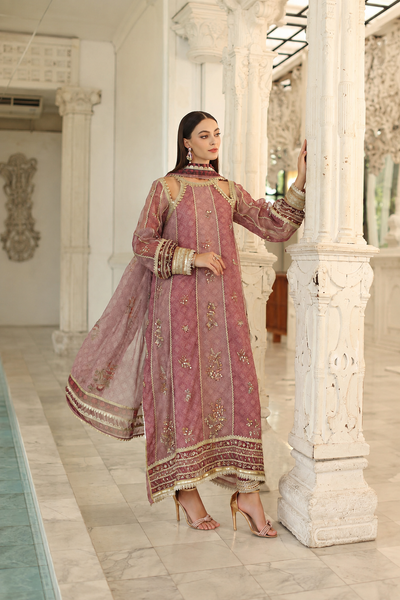 Rida – Noor By Saadia Inspired Khaadi Net Suit