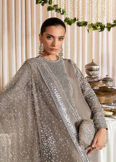 Lucent Raw Silk Grey - Kapra Collection